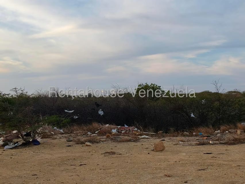 Terreno (Residencial) en Venta en Punto Fijo, Falcon - 9