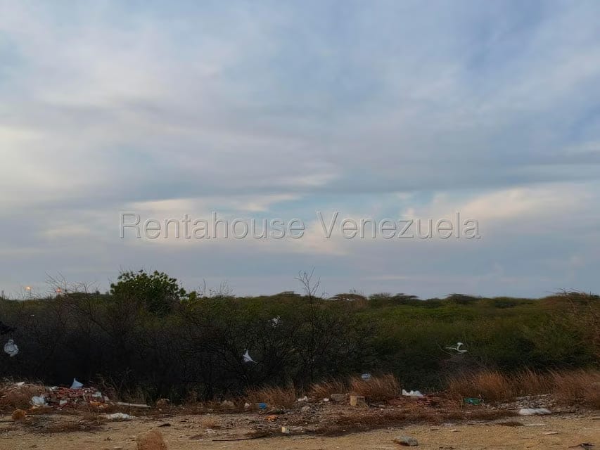 Terreno (Residencial) en Venta en Punto Fijo, Falcon - 10