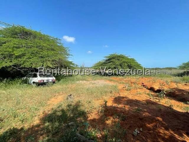 Comercial (Local Comercial) en Venta en Pueblo Nuevo, Falcon - 12