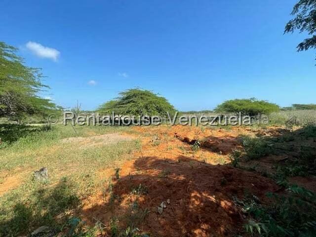 Comercial (Local Comercial) en Venta en Pueblo Nuevo, Falcon - 13