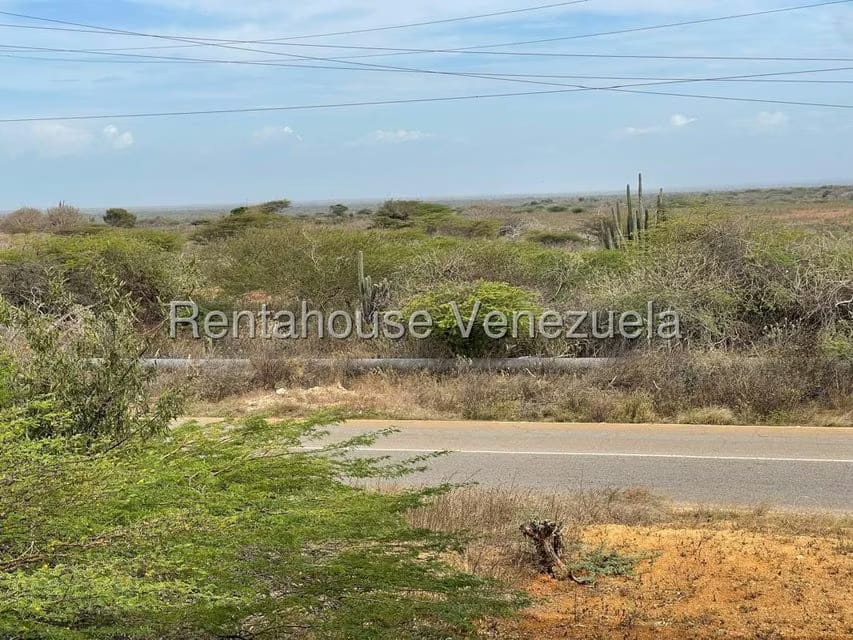 Comercial (Local Comercial) en Venta en Pueblo Nuevo, Falcon - 24