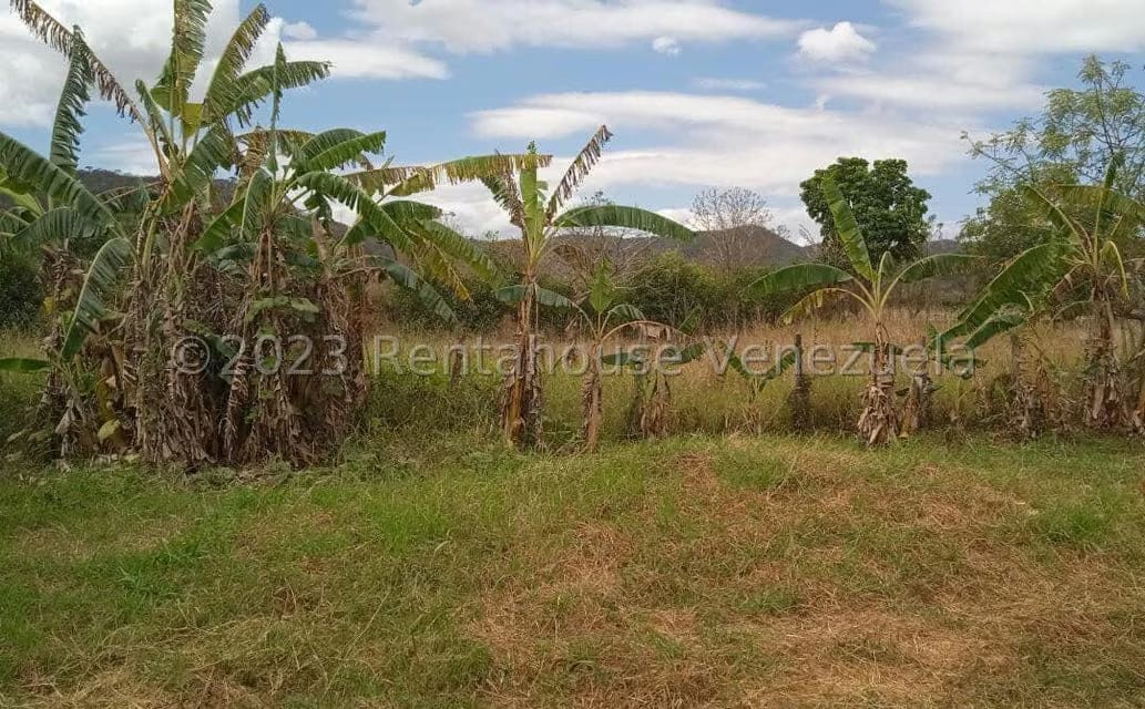 Casa (1 Nivel) en Venta en Agua de Obispo, Carabobo - 29