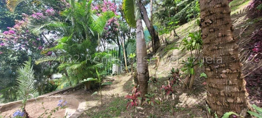 Apartamento (1 Nivel) en Alquiler en Colinas de Valle Arriba, Distrito Metropolitano - 39