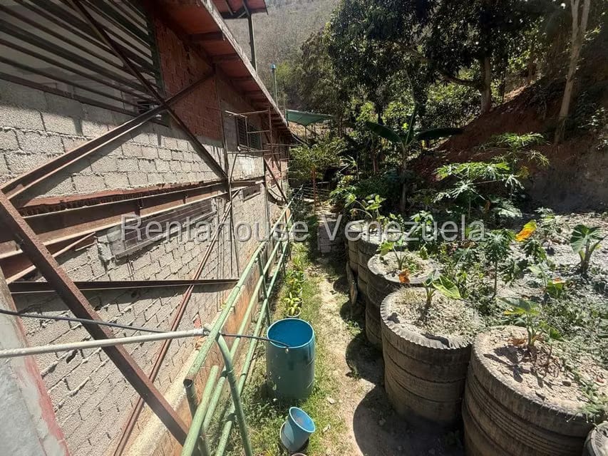 Comercial (Galpon - Deposito) en Venta en Mampote, Miranda - 23