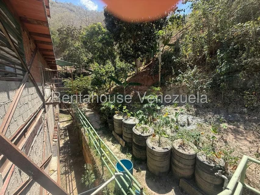 Comercial (Galpon - Deposito) en Venta en Mampote, Miranda - 26
