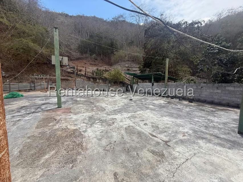 Comercial (Galpon - Deposito) en Venta en Mampote, Miranda - 48