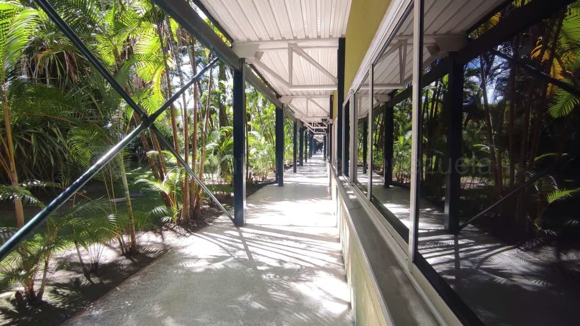 Comercial (Oficina) en Alquiler en Terrazas del Avila, Distrito Metropolitano - 31