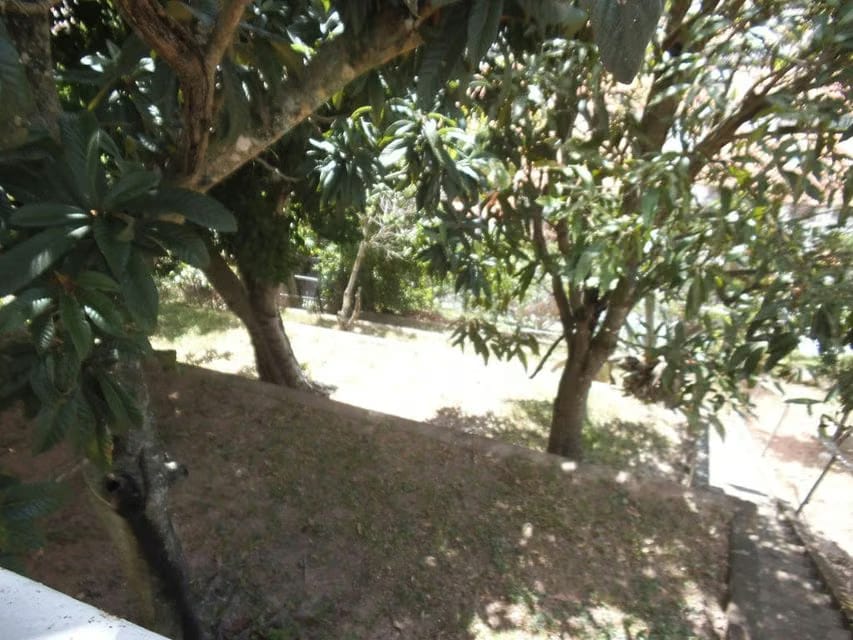 Casa (Multipes Niveles) en Venta en Macaracuay, Distrito Metropolitano - 20