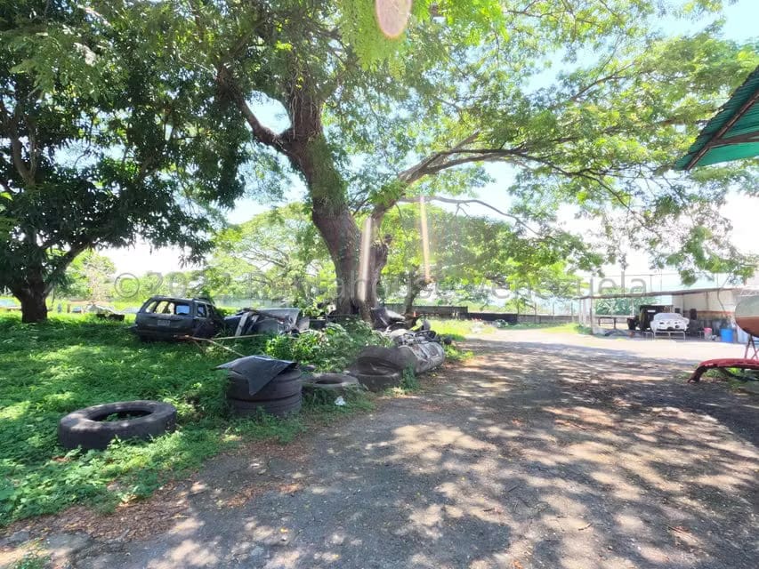 Comercial (Galpon - Deposito) en Venta en San Felipe, Yaracuy - 36