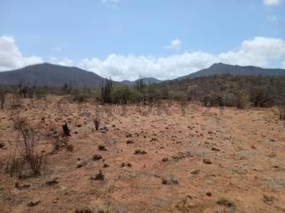 TERRENO TAGUANTAR - 6