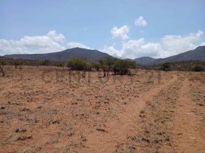 TERRENO TAGUANTAR - 9