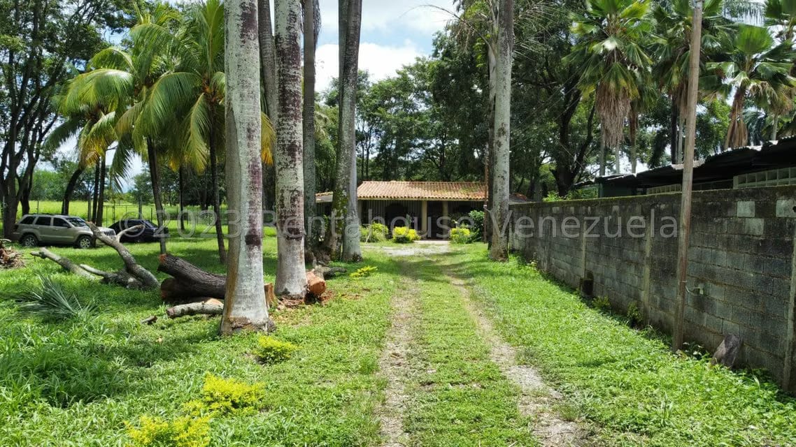 Comercial (Local Comercial) en Venta en Araure, Portuguesa - 2