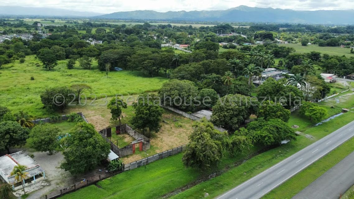 Comercial (Local Comercial) en Venta en Araure, Portuguesa - 12