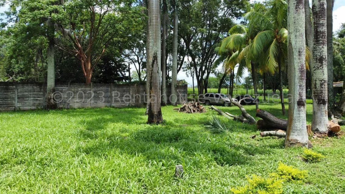 Comercial (Local Comercial) en Venta en Araure, Portuguesa - 3