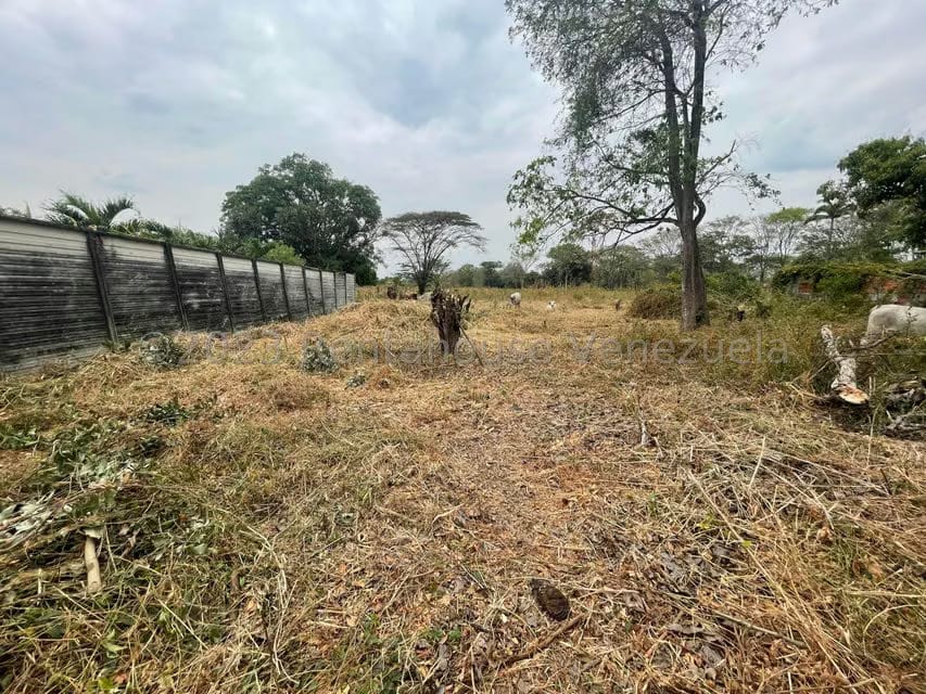 Comercial (Local Comercial) en Venta en Araure, Portuguesa - 26