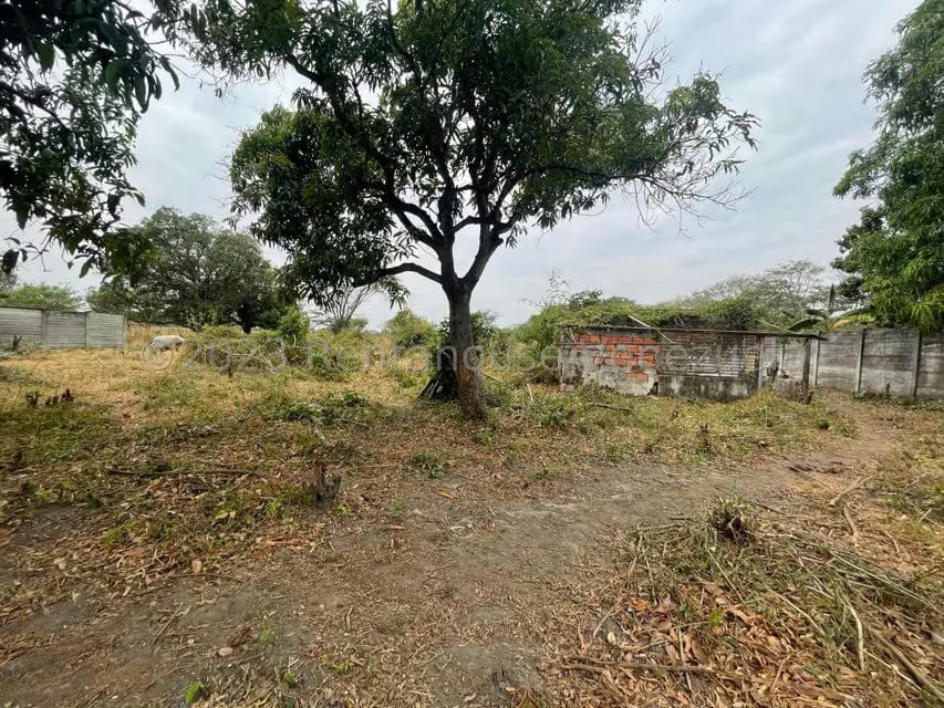 Comercial (Local Comercial) en Venta en Araure, Portuguesa - 27