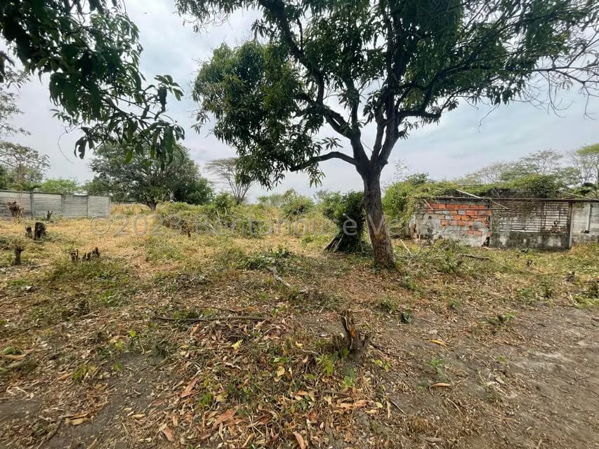 Comercial (Local Comercial) en Venta en Araure, Portuguesa - 30