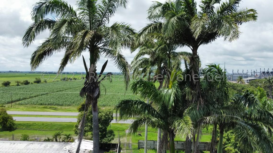 Comercial (Local Comercial) en Venta en Araure, Portuguesa - 4