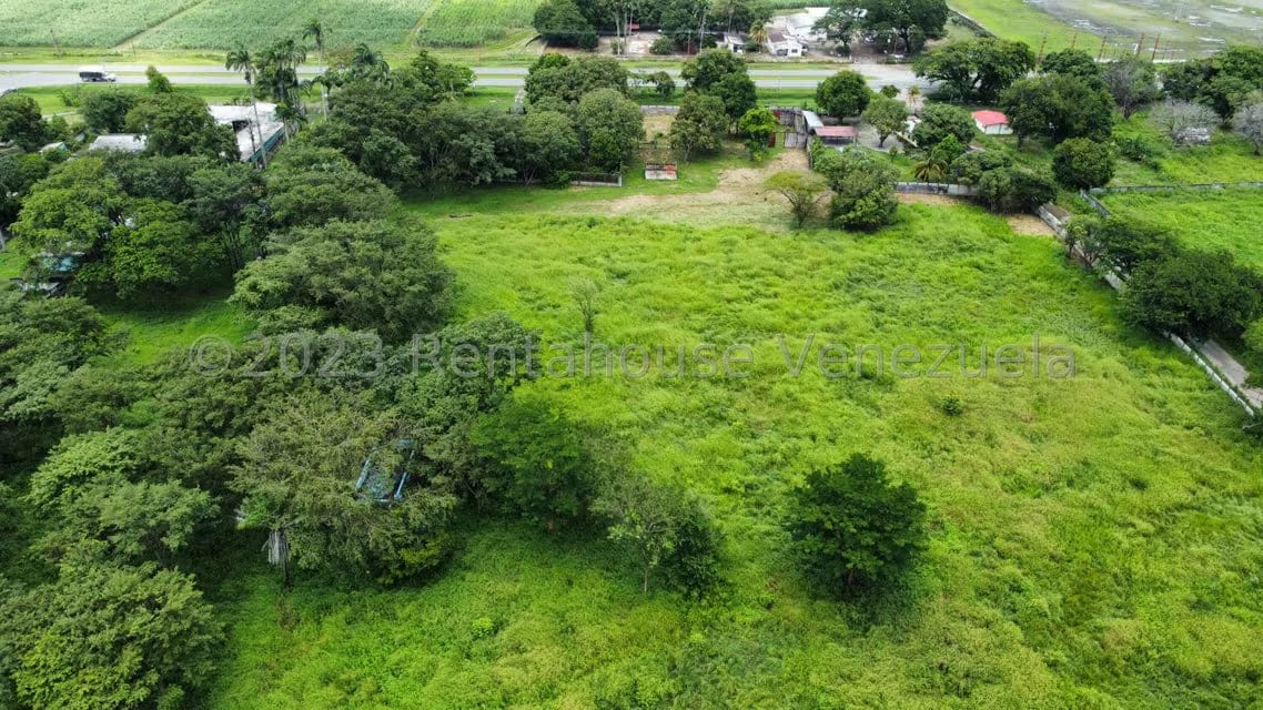 Comercial (Local Comercial) en Venta en Araure, Portuguesa - 32