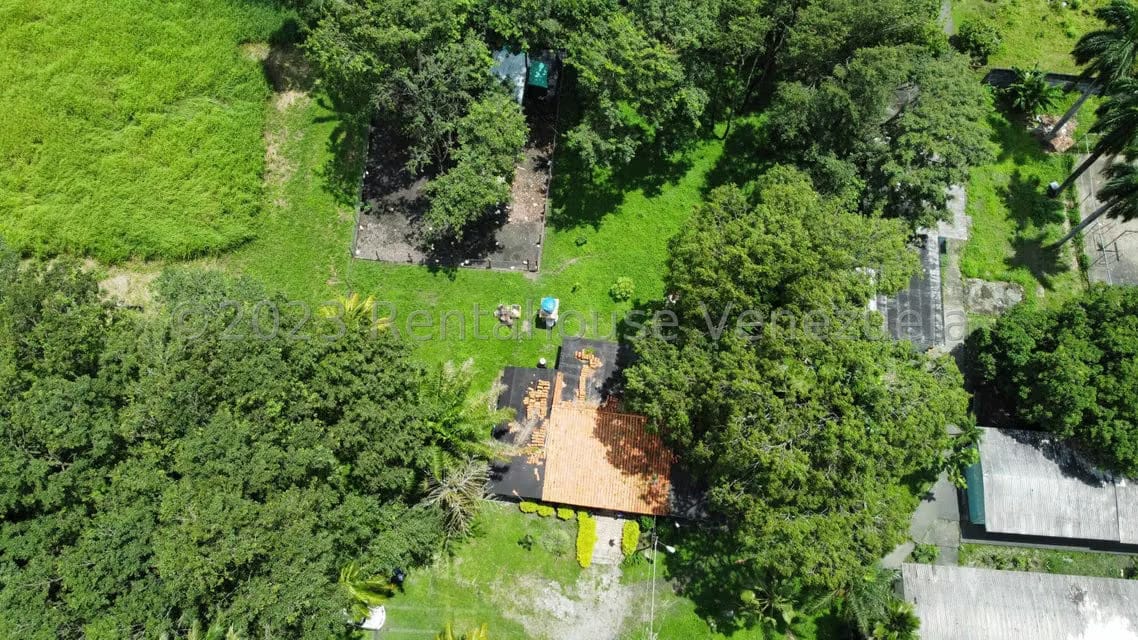 Comercial (Local Comercial) en Venta en Araure, Portuguesa - 40