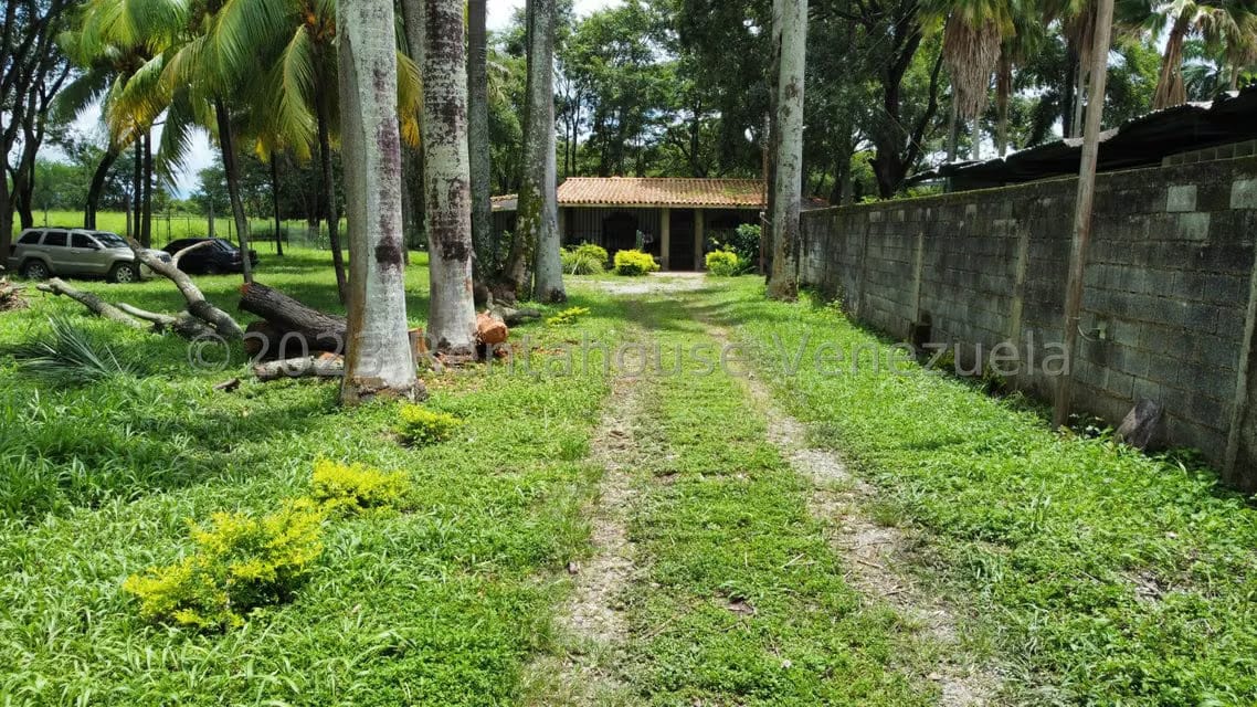 Comercial (Local Comercial) en Venta en Araure, Portuguesa - 42