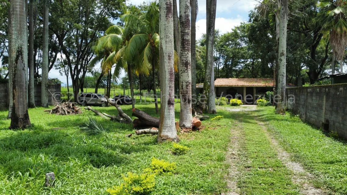 Comercial (Local Comercial) en Venta en Araure, Portuguesa - 43