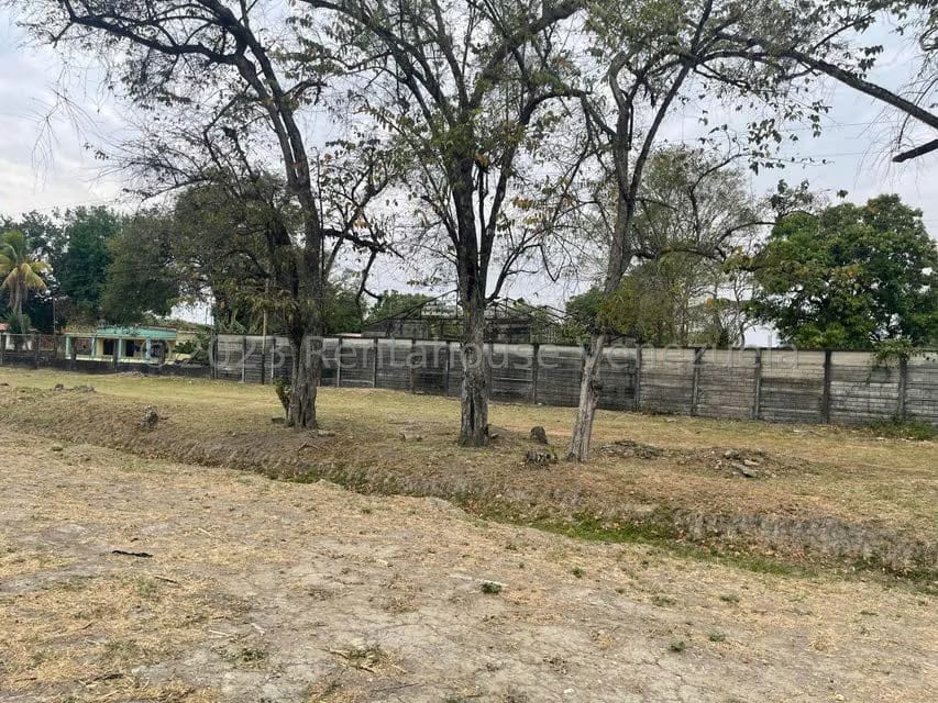 Comercial (Local Comercial) en Venta en Araure, Portuguesa - 6