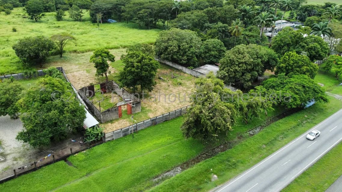 Comercial (Local Comercial) en Venta en Araure, Portuguesa - 10