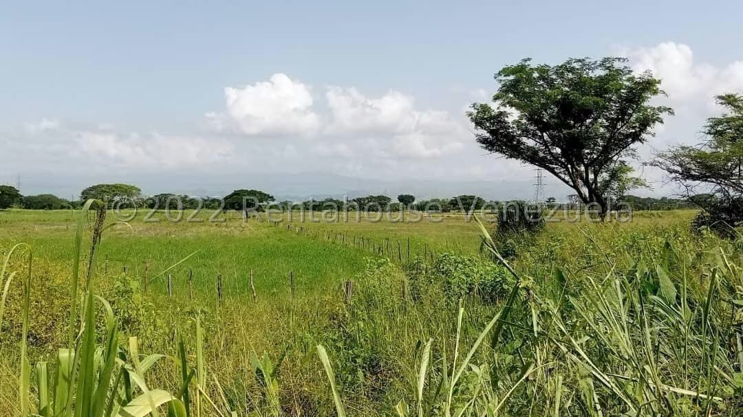 Terreno (Comercial) en Venta en Flor Amarillo, Carabobo - 2