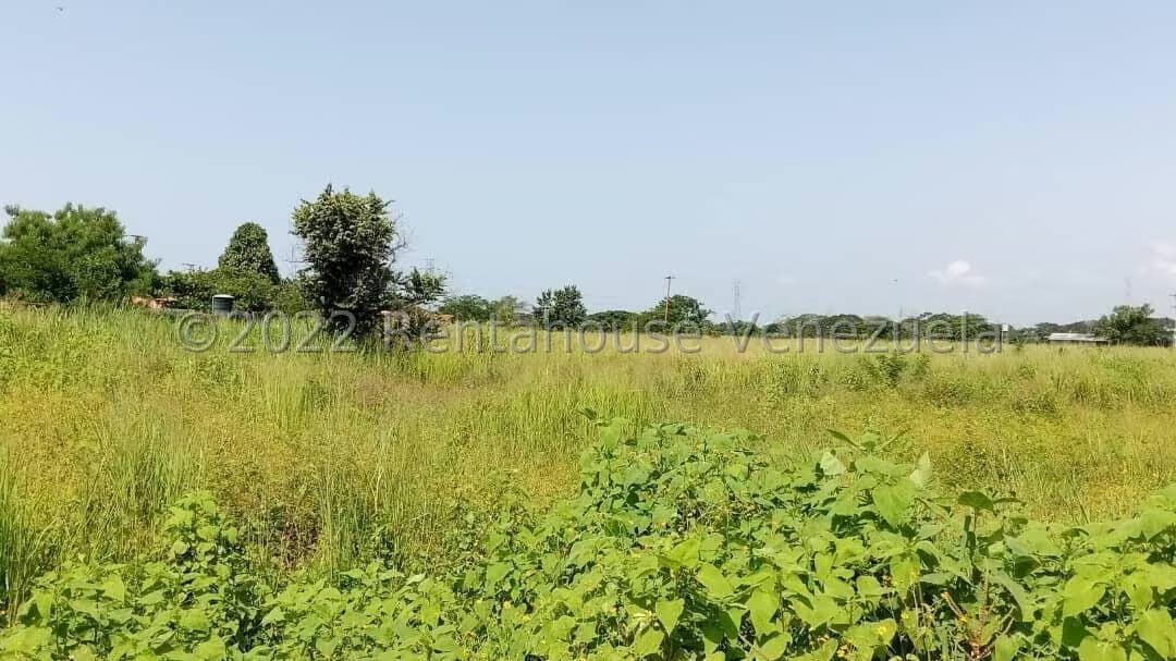 Terreno (Comercial) en Venta en Flor Amarillo, Carabobo - 3