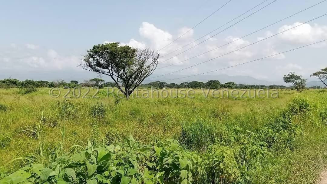 Terreno (Comercial) en Venta en Flor Amarillo, Carabobo - 5