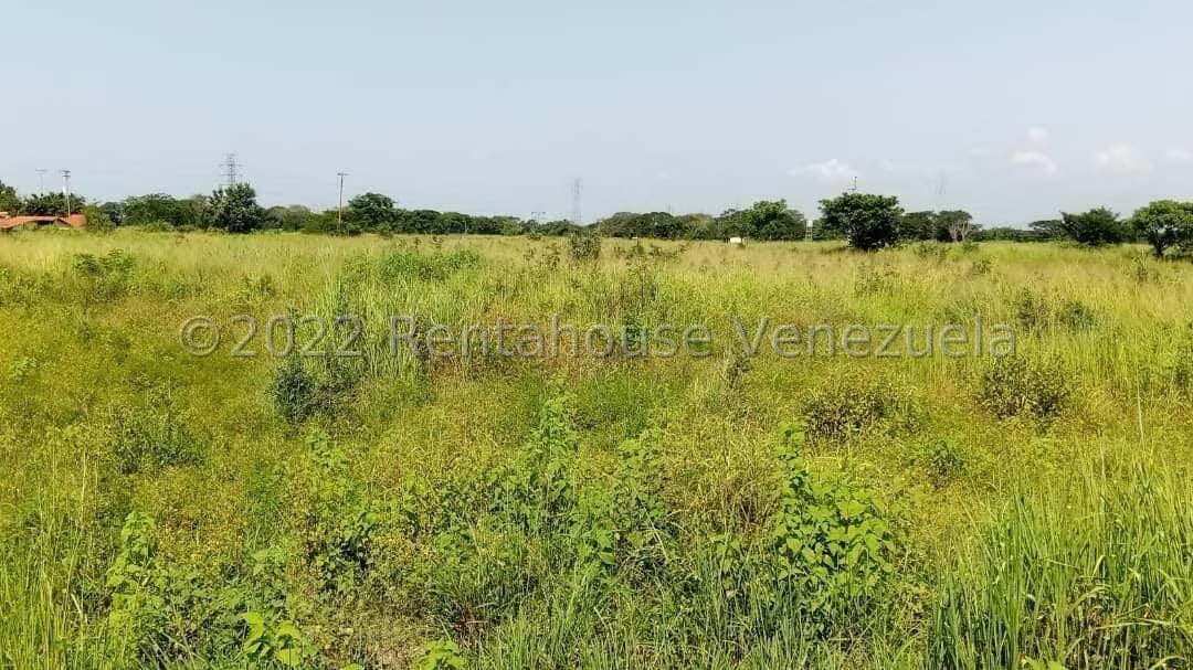 Terreno (Comercial) en Venta en Flor Amarillo, Carabobo - 6