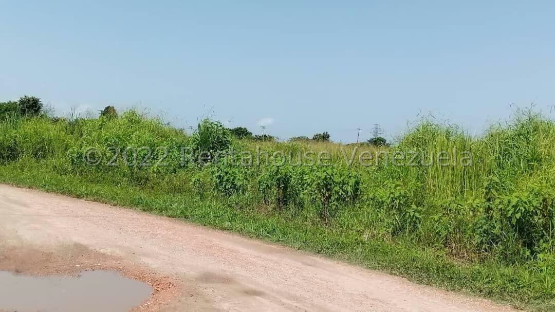 Terreno (Comercial) en Venta en Flor Amarillo, Carabobo - 7