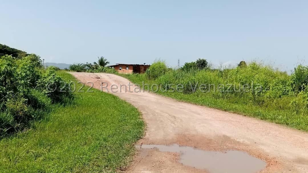 Terreno (Comercial) en Venta en Flor Amarillo, Carabobo - 8