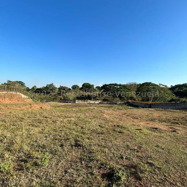 Terreno (Residencial) en Venta en Sabana del Medio, Carabobo - 12