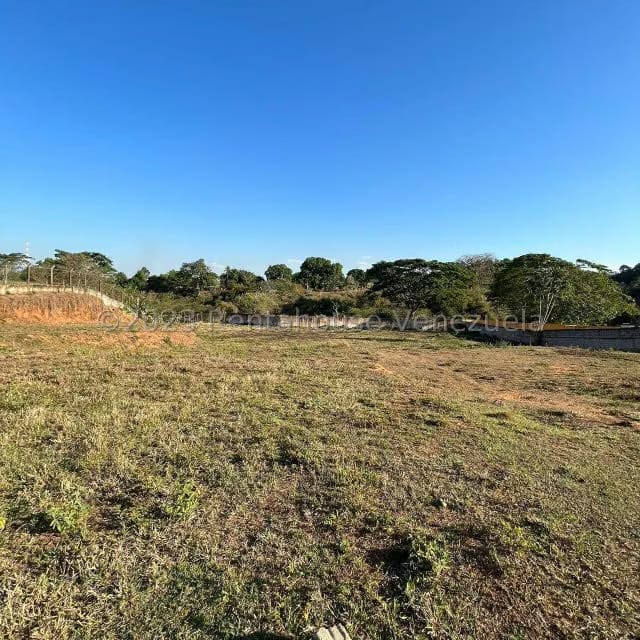 Terreno (Residencial) en Venta en Sabana del Medio, Carabobo - 13