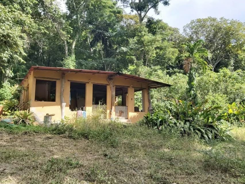 Terreno (Comercial) en Venta en Guataparo, Carabobo - 2