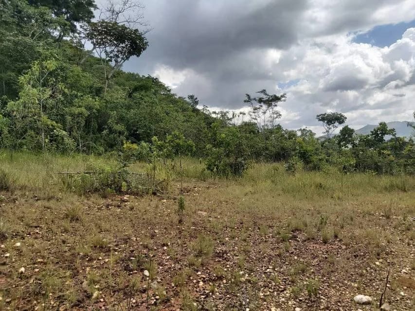 Terreno (Comercial) en Venta en Guataparo, Carabobo - 14