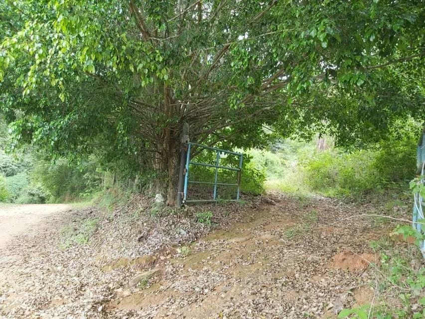 Terreno (Comercial) en Venta en Guataparo, Carabobo - 20