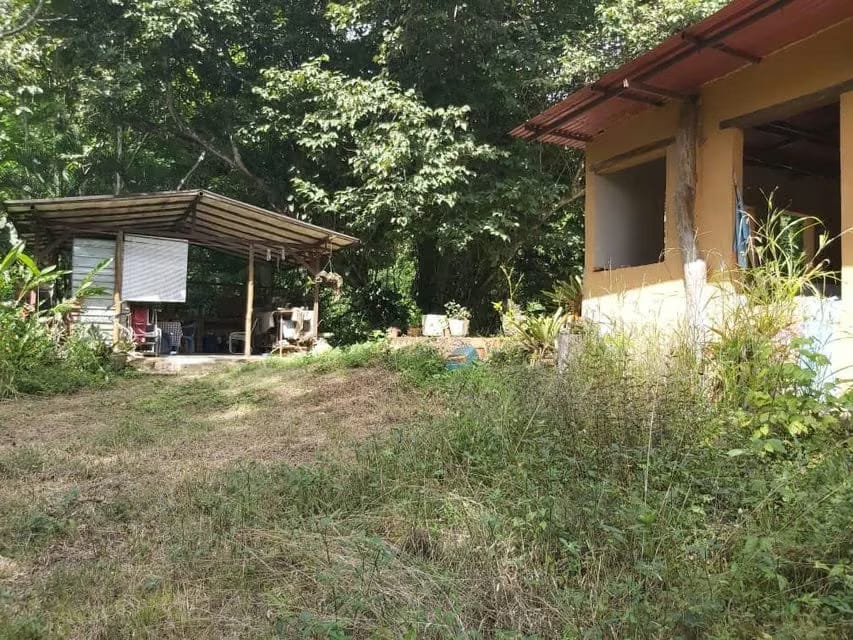 Terreno (Comercial) en Venta en Guataparo, Carabobo - 3