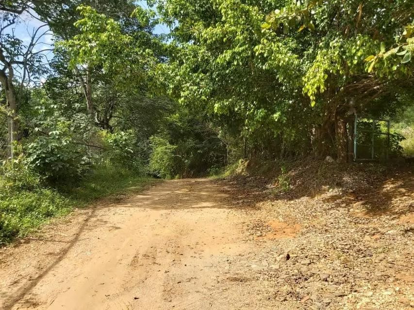 Terreno (Comercial) en Venta en Guataparo, Carabobo - 21
