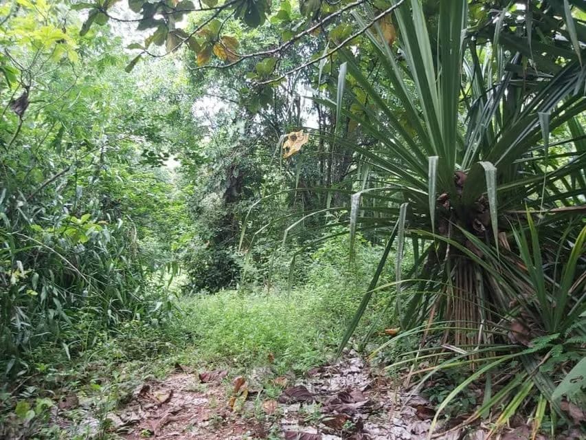 Terreno (Comercial) en Venta en Guataparo, Carabobo - 22