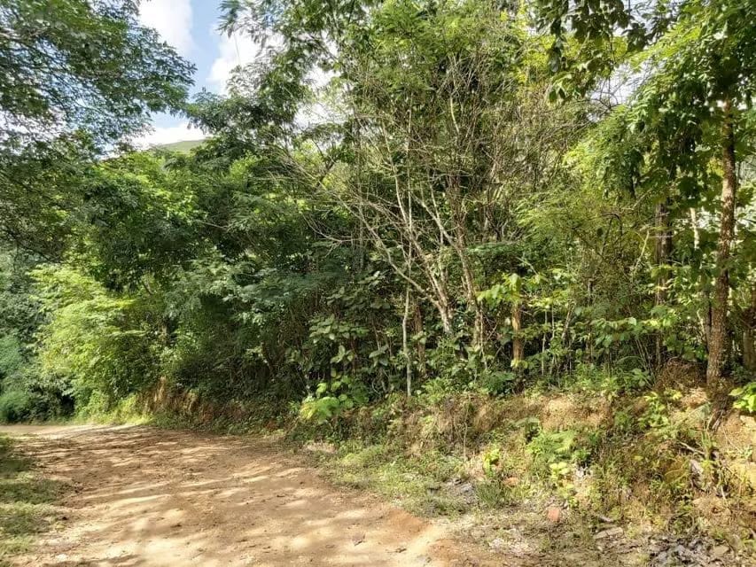 Terreno (Comercial) en Venta en Guataparo, Carabobo - 24