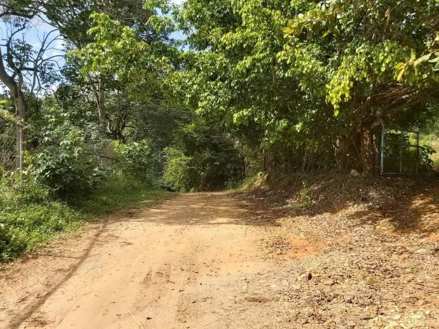 Terreno (Comercial) en Venta en Guataparo, Carabobo - 25