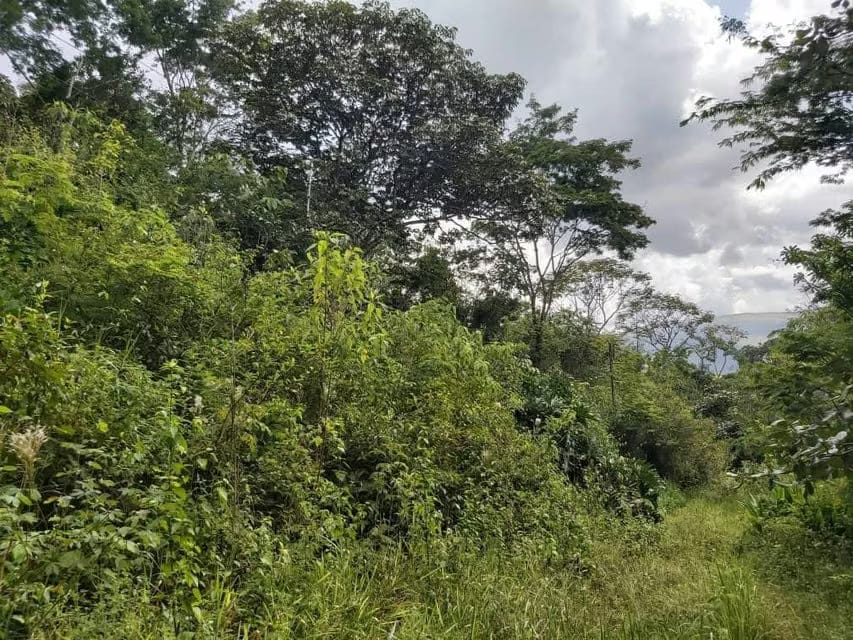 Terreno (Comercial) en Venta en Guataparo, Carabobo - 26