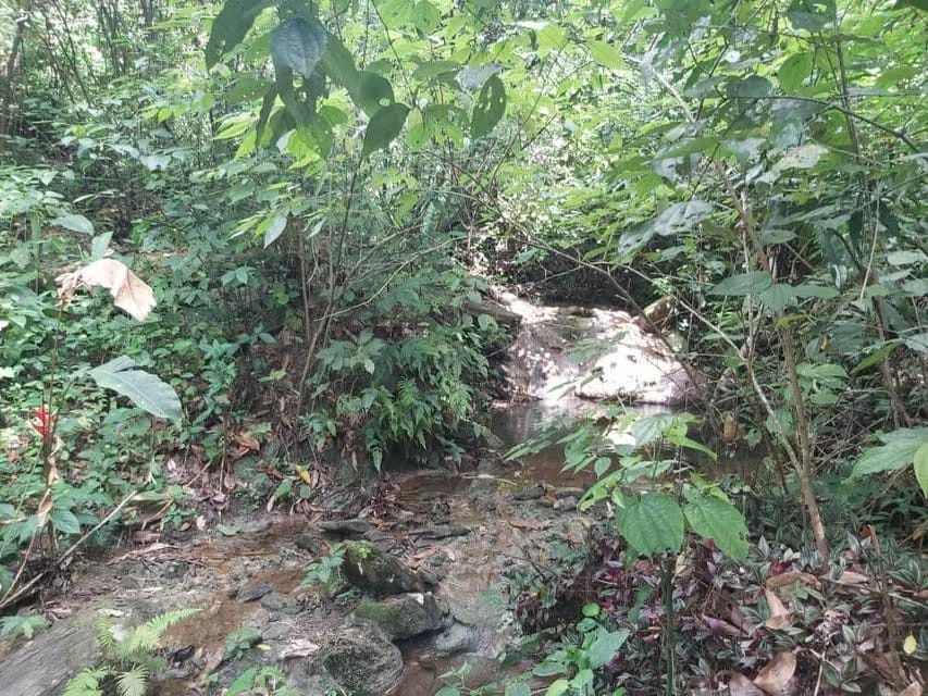 Terreno (Comercial) en Venta en Guataparo, Carabobo - 27
