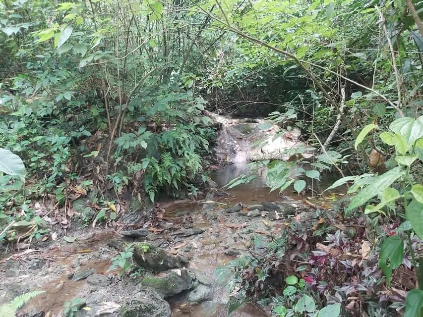 Terreno (Comercial) en Venta en Guataparo, Carabobo - 28