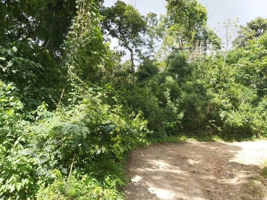 Terreno (Comercial) en Venta en Guataparo, Carabobo - 30