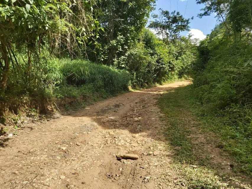 Terreno (Comercial) en Venta en Guataparo, Carabobo - 31