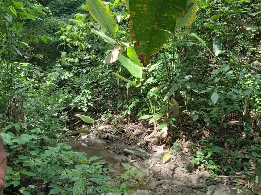 Terreno (Comercial) en Venta en Guataparo, Carabobo - 32